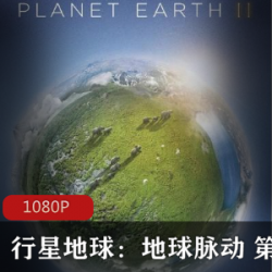 行星地球2_地球脉动