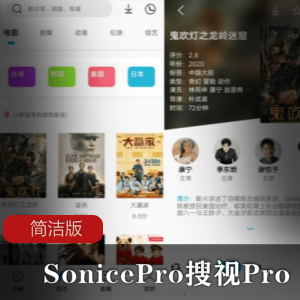 SonicePro搜视Pro简洁版