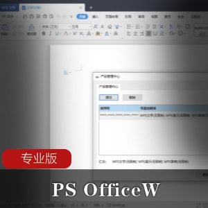 WPS OfficeW专业版